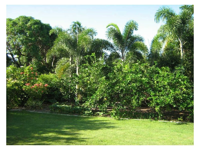 32 Murroona Street, Bowen QLD 4805