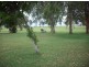 Lot 17 Catalina Court, Bowen QLD 4805