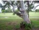 Lot 17 Catalina Court, Bowen QLD 4805