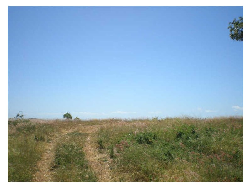 Lot 227 Harbour View Terrace, WShores, Bowen QLD 4805