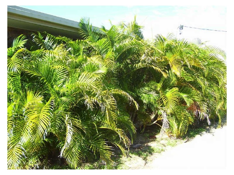 116 Soldiers Road, Bowen QLD 4805