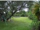 118 Powell Street, Bowen QLD 4805