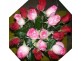 Frangipani Florist – 23 Gregory Street, Bowen QLD 4805