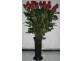 Frangipani Florist – 23 Gregory Street, Bowen QLD 4805