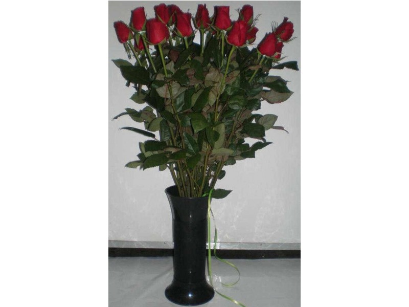 Frangipani Florist – 23 Gregory Street, Bowen QLD 4805