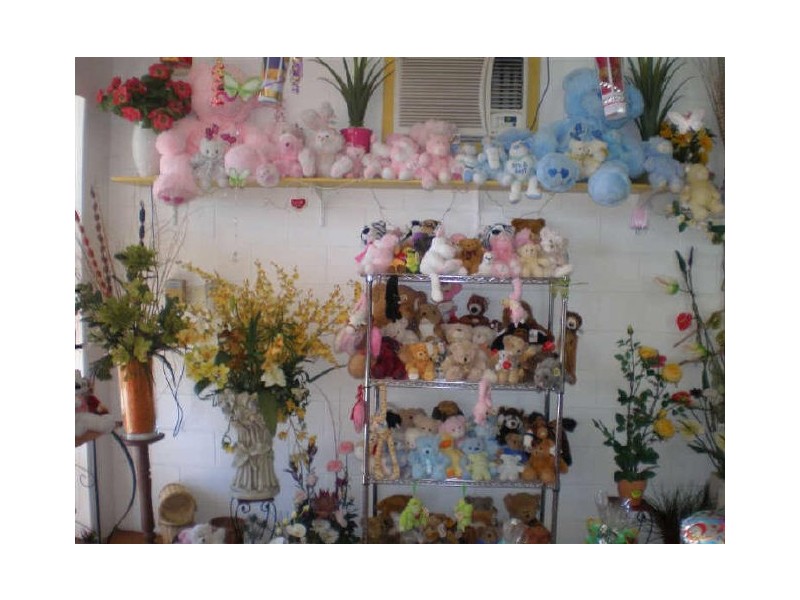 Frangipani Florist – 23 Gregory Street, Bowen QLD 4805