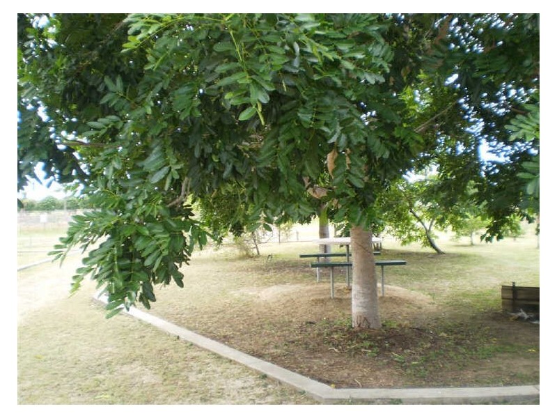 Lot 103 De Salis Street, Gumlu QLD 4805
