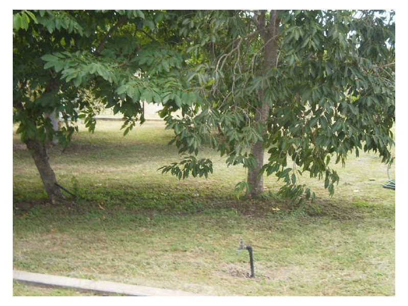Lot 103 De Salis Street, Gumlu QLD 4805