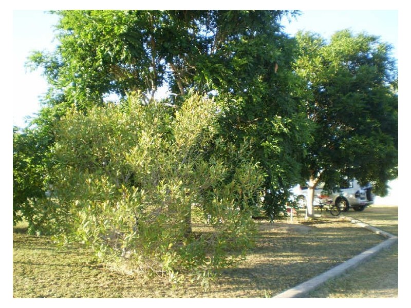 Lot 103 De Salis Street, Gumlu QLD 4805