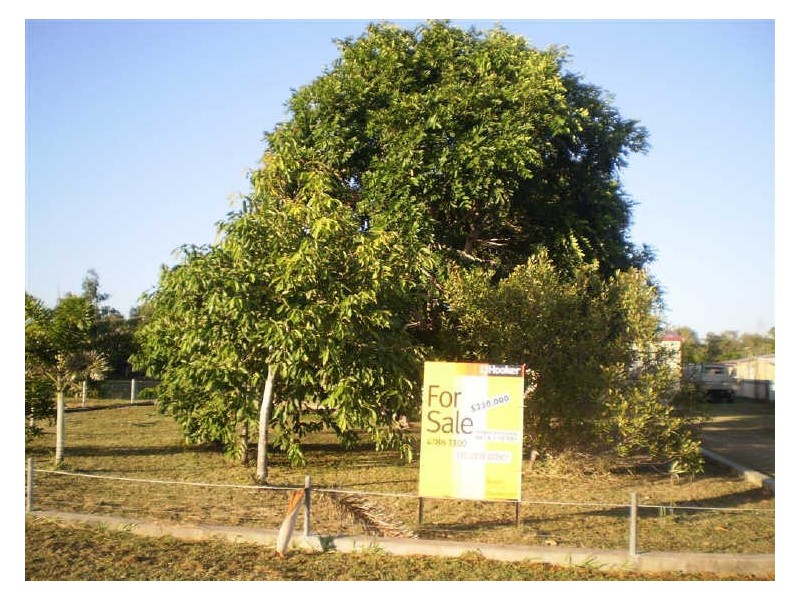 Lot 103 De Salis Street, Gumlu QLD 4805