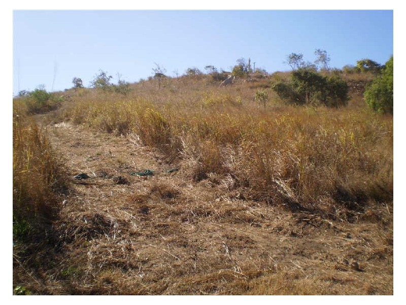 14 Yardley Court, Bowen QLD 4805