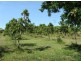 263 Kelsey Road, Bowen QLD 4805