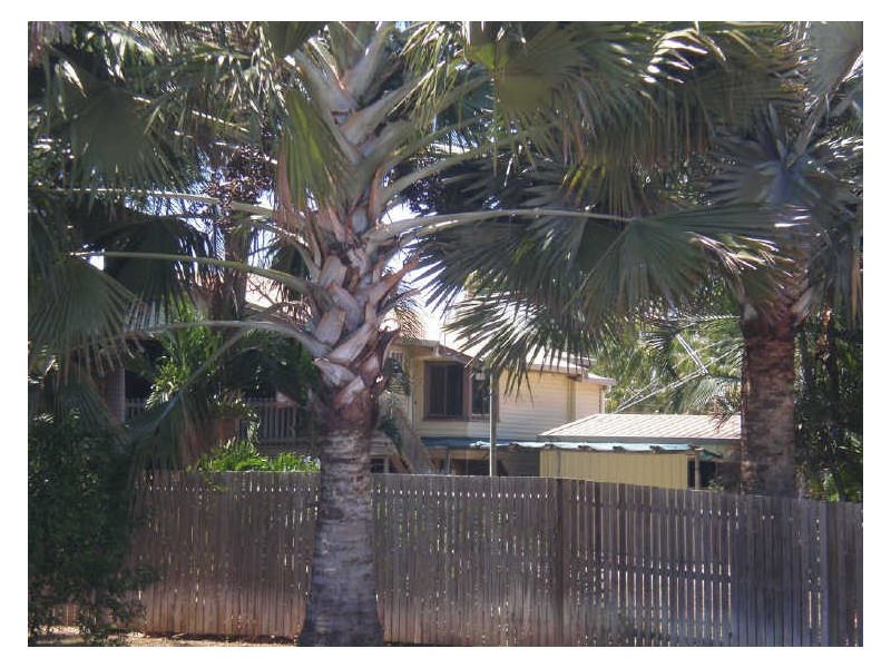 3 Reibels Road, Bowen QLD 4805