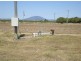 3 Reibels Road, Bowen QLD 4805