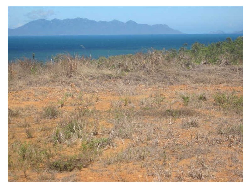 18 Harbour View Terrace, Bowen QLD 4805