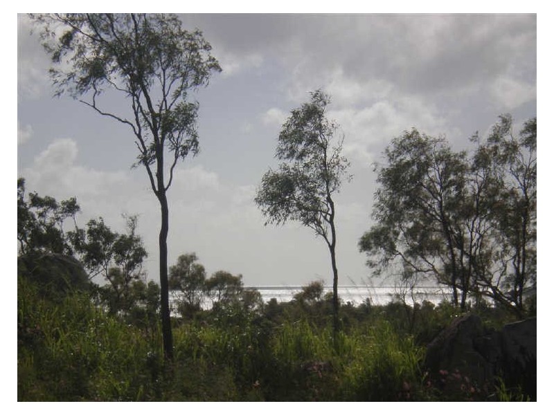 12 Craigie Court, Bowen QLD 4805
