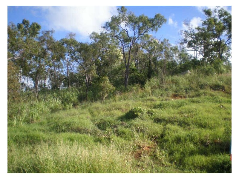 12 Craigie Court, Bowen QLD 4805