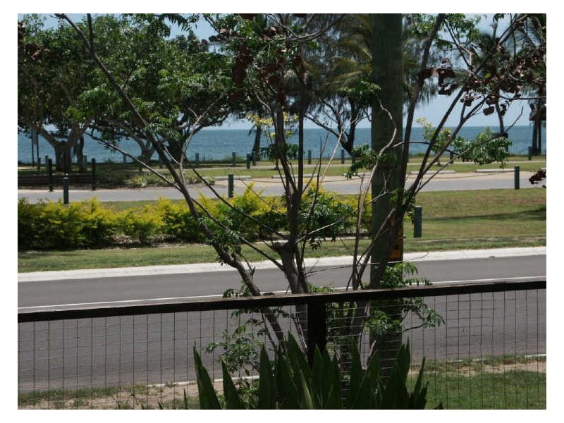 83 Horseshoe Bay Road, Bowen QLD 4805