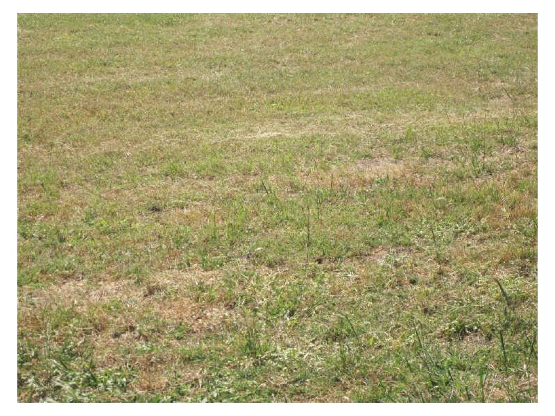 20 Marine Parade, Bowen QLD 4805