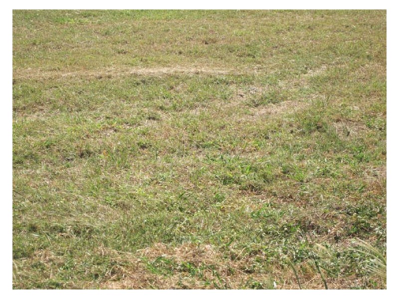 20 Marine Parade, Bowen QLD 4805