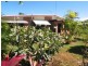 77 Whitsunday Street, Bowen QLD 4805