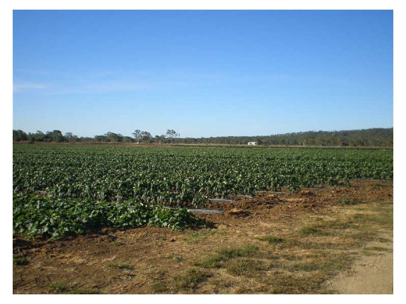 66 Roaches Road, Bowen QLD 4805