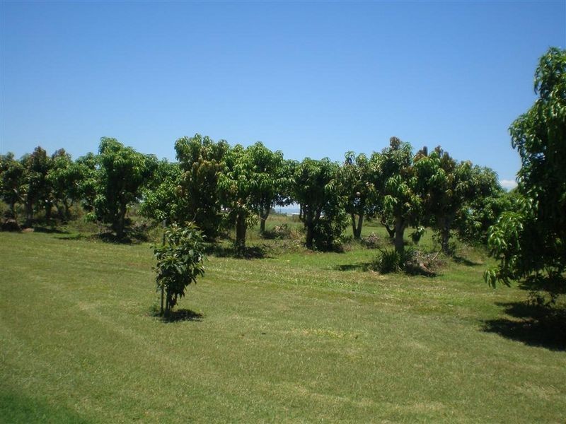 171 Telegraph Road, Bowen QLD 4805