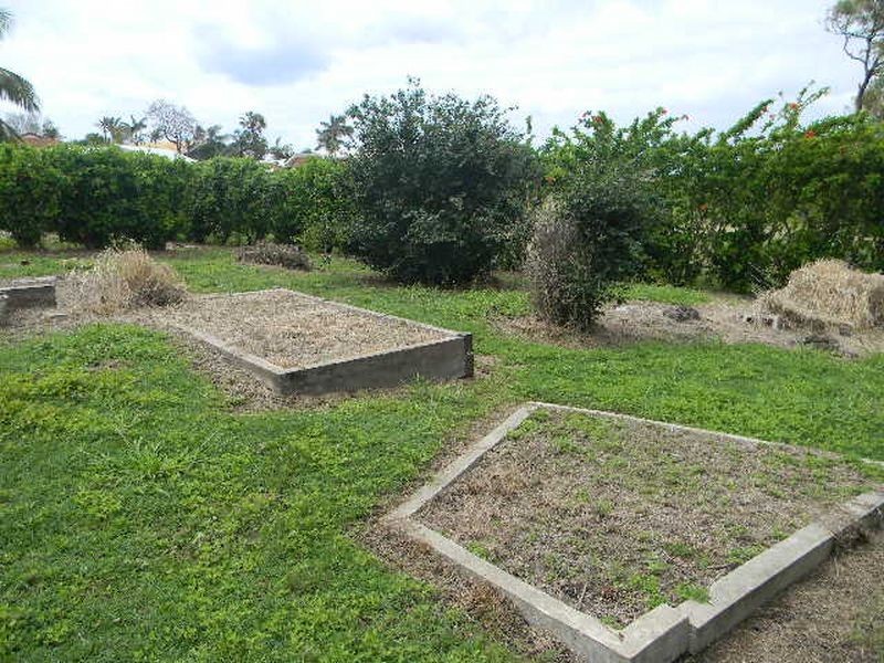 6 Lotus Lane, Bowen QLD 4805