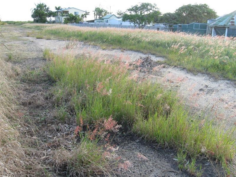 35 Dalrymple Street & 26 Thomas Street, Bowen QLD 4805