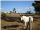 Lot 15 Kirkpatrick Court, Bowen QLD 4805