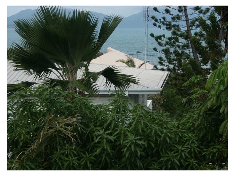 9 Avicennia Street, Bowen QLD 4805