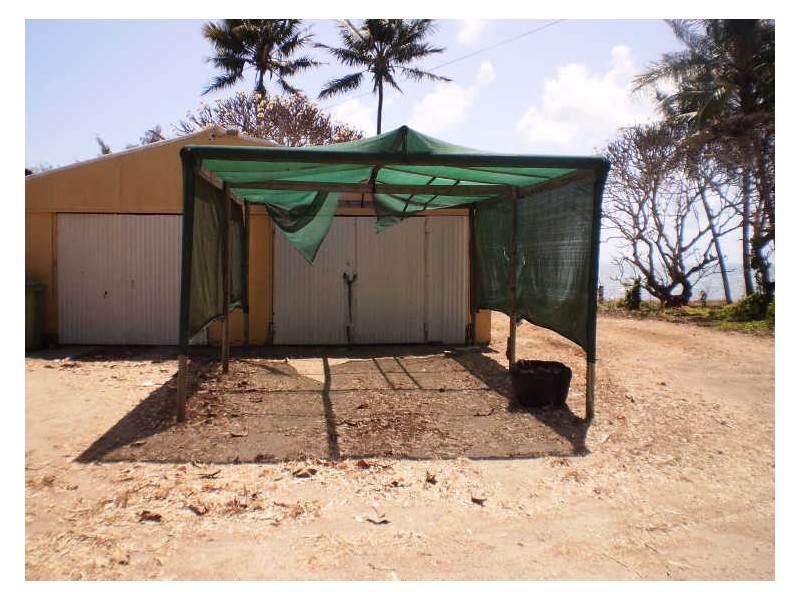 8 Howard Street Bowen, Bowen QLD 4805