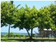 81 Horseshoe Bay Road, Bowen QLD 4805