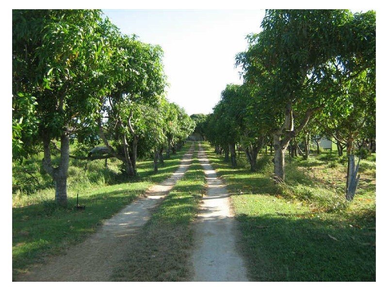 40 Inverdon Road, Bowen QLD 4805