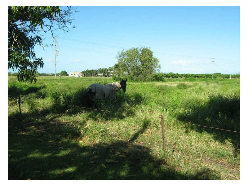 40 Inverdon Road, Bowen QLD 4805