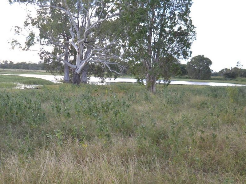 102 Ferguson Road, Bowen QLD 4805