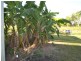 102 Ferguson Road, Bowen QLD 4805