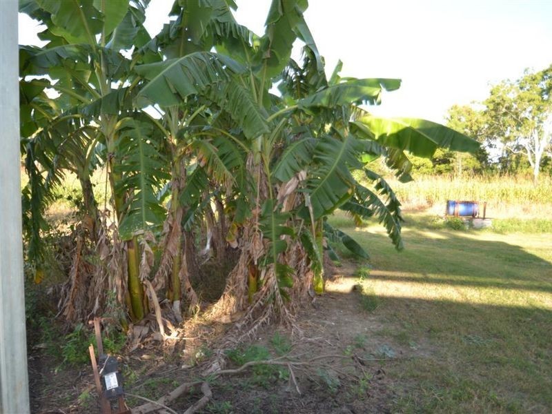 102 Ferguson Road, Bowen QLD 4805