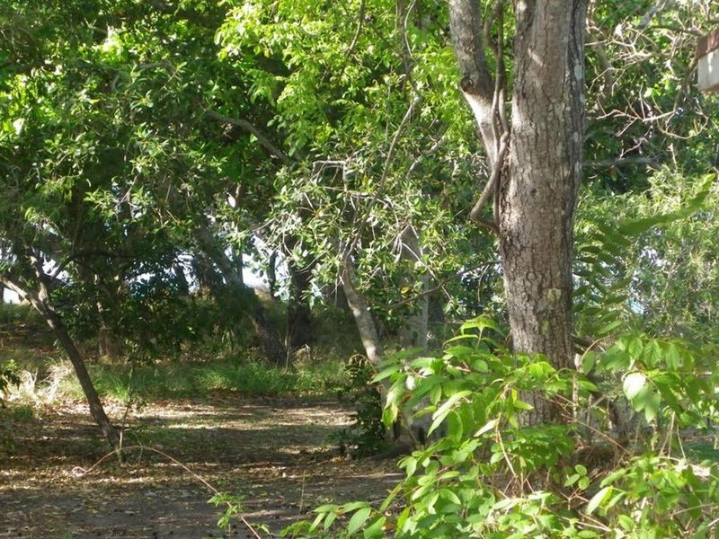 22 Horseshoe Bay Road, Bowen QLD 4805