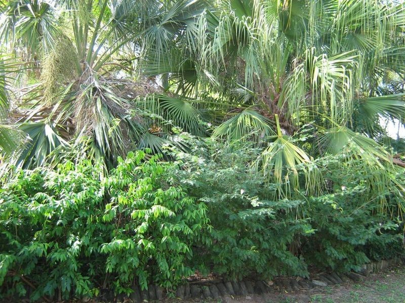15 Russell Street, Bowen QLD 4805