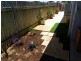10 Kirkpatrick Court, Bowen QLD 4805