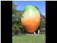 Bowen’s Big Mango, Bowen QLD 4805