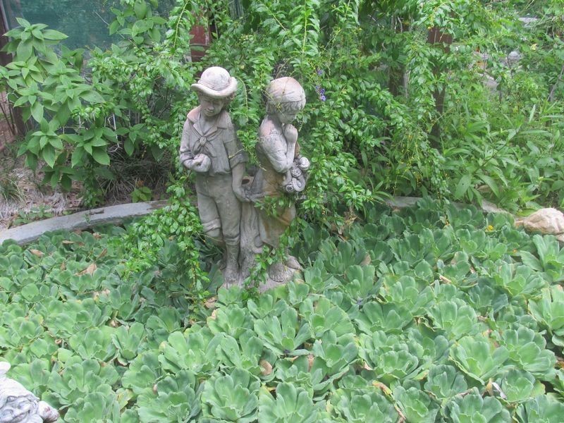 74 Kennedy Street, Bowen QLD 4805