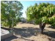 73 Poole Street, Bowen QLD 4805