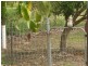 127 Soldiers Road, Bowen QLD 4805