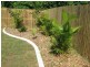 26 Lemon Grove, Bowen QLD 4805