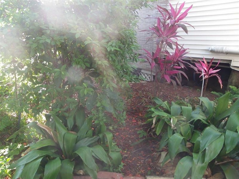 39 Gordon Street, Bowen QLD 4805