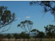 7 Sunshine Court, Bowen QLD 4805
