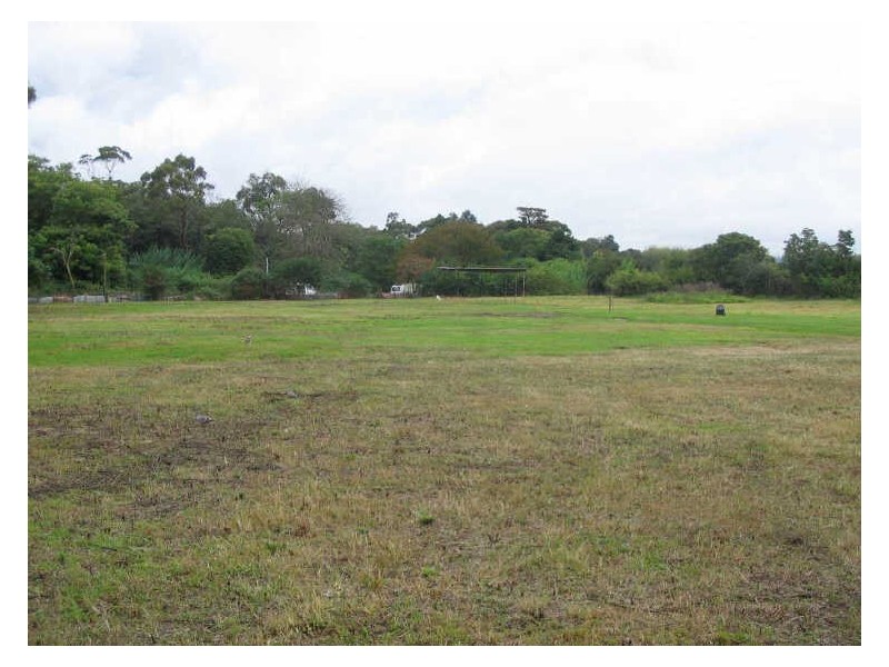 83 Booralie Road, Terrey Hills NSW 2084