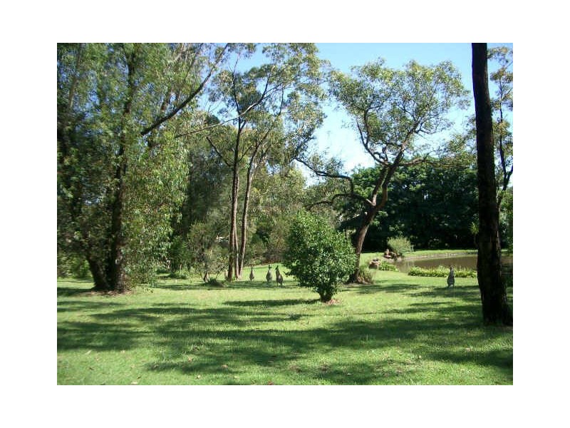 383 Wyong Road, Duffys Forest NSW 2084